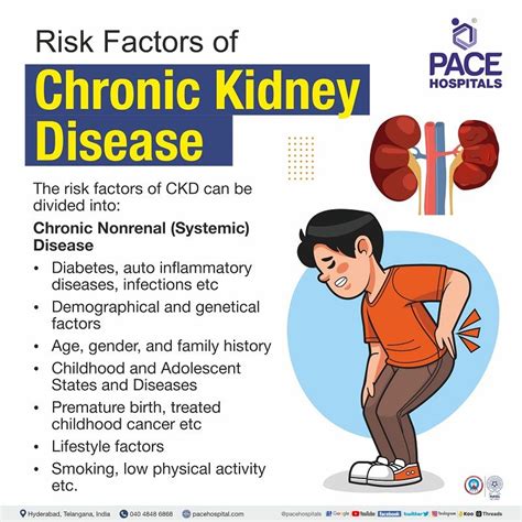 chronic kidney disease near occidental|Symptoms of Kidney Disease .